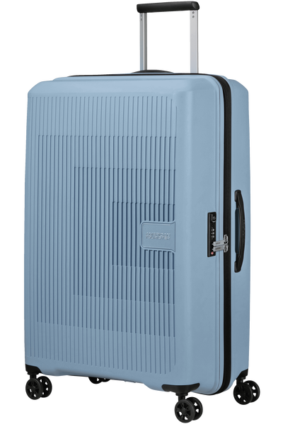 Check-in luggage