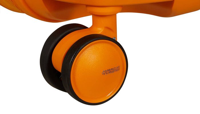 Double Wheel System