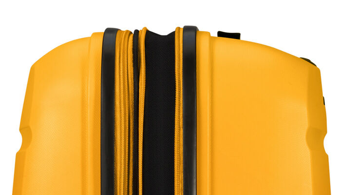 Expandability