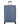 Cloudrider L Large Check-in