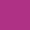 Fuchsia Fuchsia