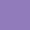 Violet Purple Violet Purple